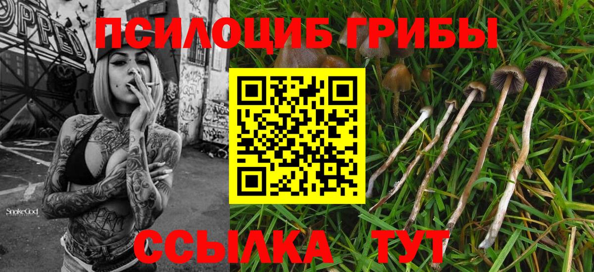Елабуга  Галлюциногенные грибы Magic Shrooms  Вход с VPN  Псилоцибиновые грибы Magic Shrooms 