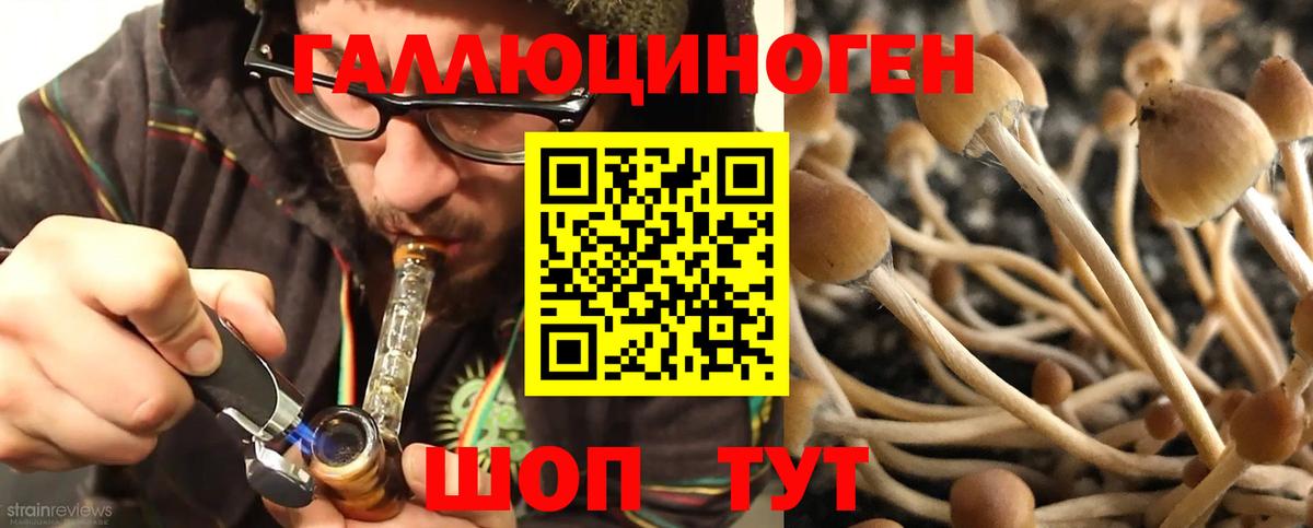 Псилоцибиновые грибы GOLDEN TEACHER Елабуга